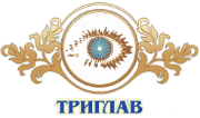 ООО "Триглав" - Город Казань cropped-logotip.png